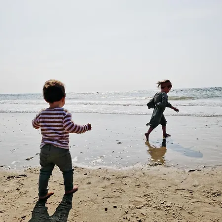 Strandhuisjes Zoomers Aan Zee מלון דירות 3*