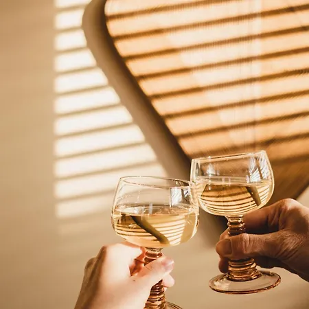 Strandhuisjes Zoomers Aan Zee מלון דירות קסטריקום