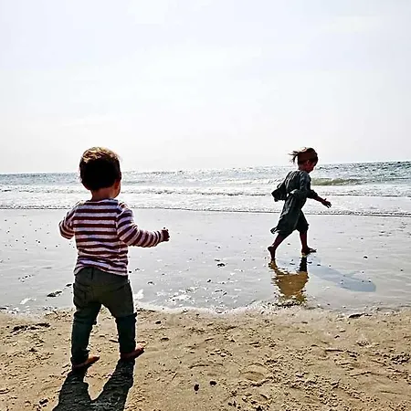 Strandhuisjes Zoomers Aan Zee 3*