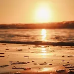 Strandhuisjes Zoomers Aan Zee Aparthotel Castricum