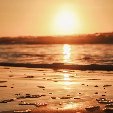 Strandhuisjes Zoomers Aan Zee Appart hôtel Castricum